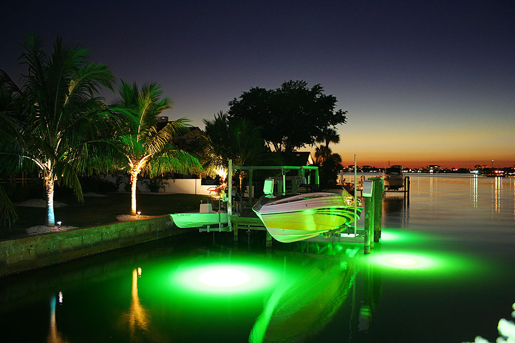 Underwater Fish Lights